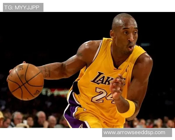 NBA体育明星收入排行榜揭示顶级球员财富与成就的背后故事