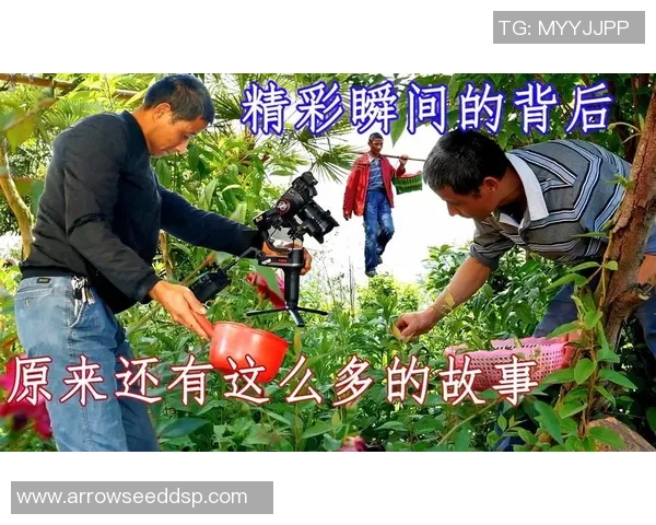 韩国足球明星观看赛事的精彩瞬间与背后的故事揭秘