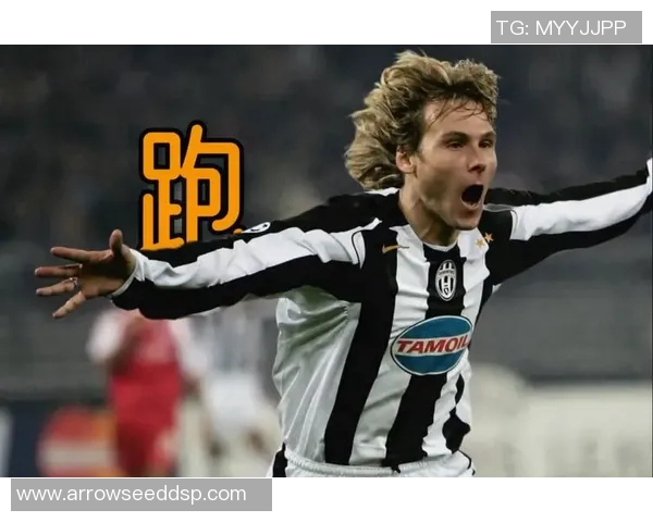 内德维德：从足球场上的传奇到生活中的榜样，回顾他的辉煌历程与影响力