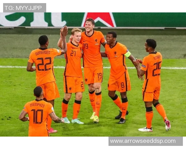 乌克兰与荷兰激战欧洲杯小组赛精彩回顾与战术分析