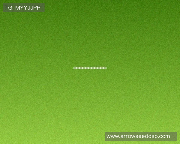 篮球明星的辉煌历程与对年轻一代的激励作用探讨